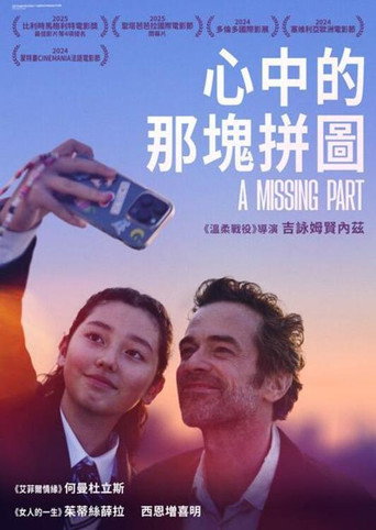 心中的那塊拼圖海報