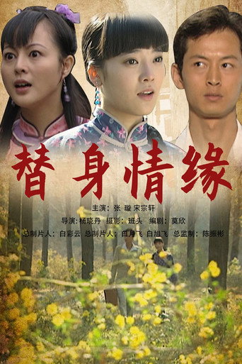 替身情緣海報
