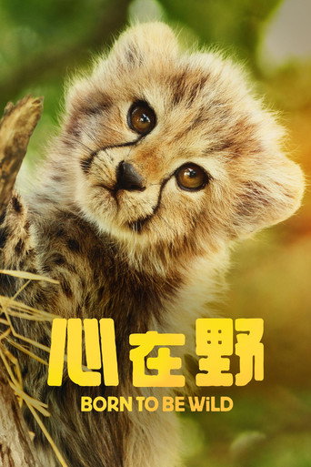野生之心海報