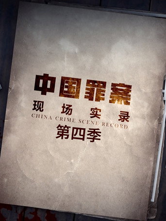 罪案現場實錄 第 4 季海報