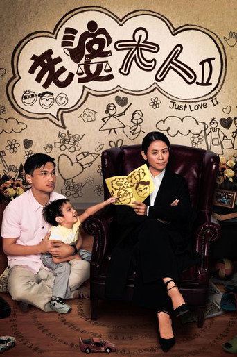 老婆大人2海報