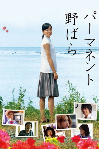 常開野薔薇海報