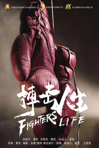 搏擊人生海報