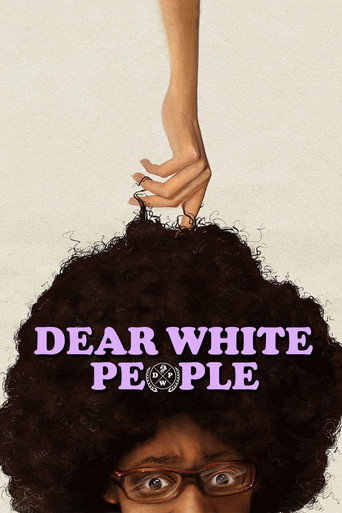 親愛的白人們海報