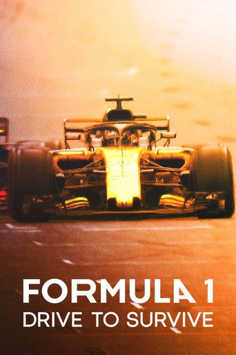 Formula 1:飆速求生 第 2 季海報