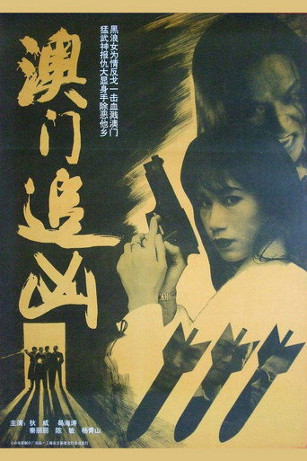 澳門追兇海報