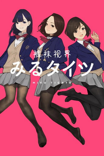 絲襪視界海報
