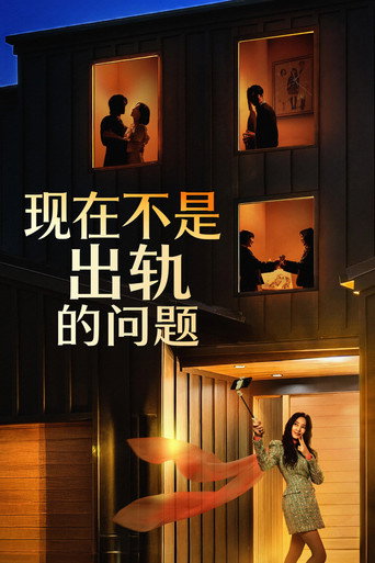 現在不是外遇的問題海報