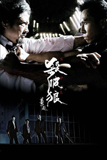 殺破狼海報