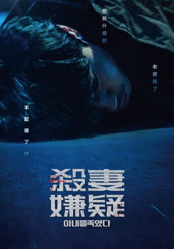 殺妻嫌疑海報