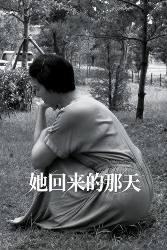 她復出的那天海報