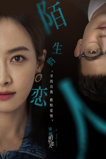 陌生的戀人海報