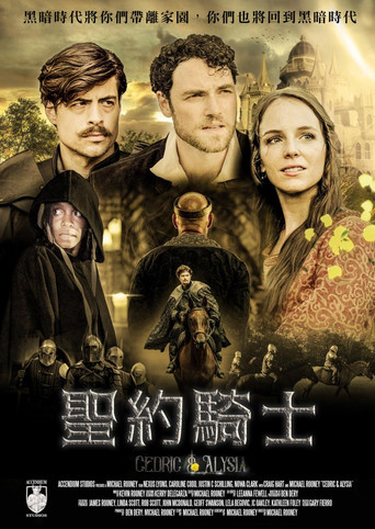 聖約騎士海報