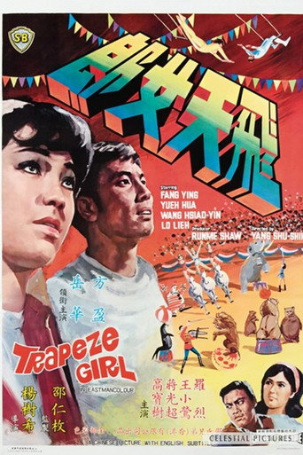 飛天女郎海報