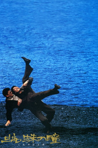 蜘蛛之瞳海報