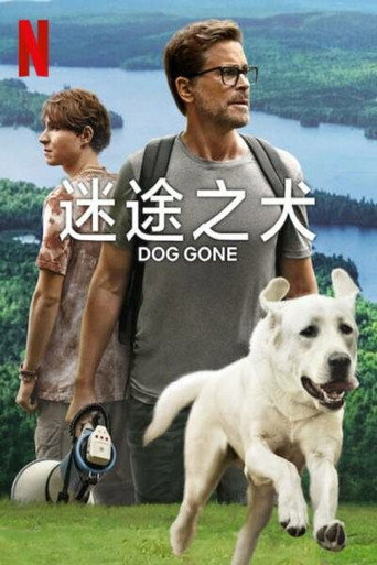 迷途之犬海報