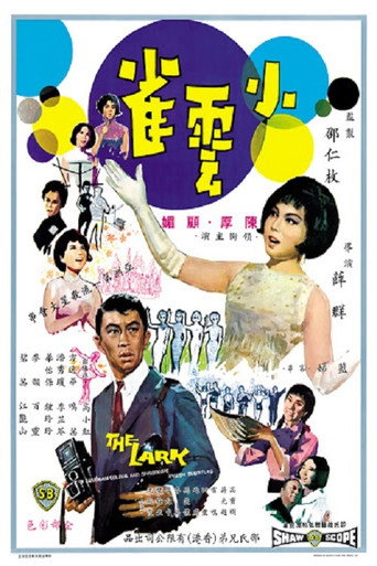 小云雀海報