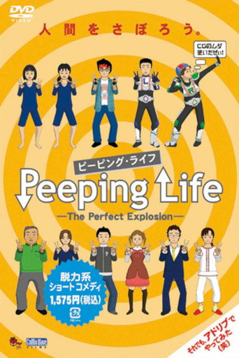 窺探人生 第 6 季海報