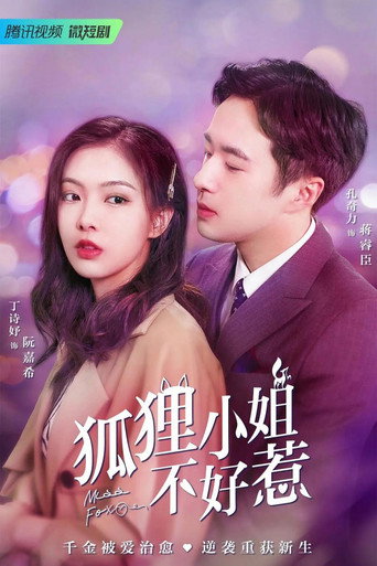 狐狸小姐不好惹海報