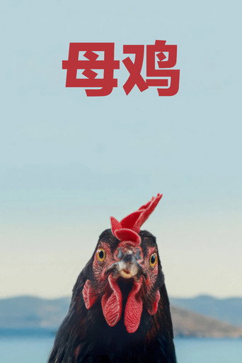 母雞海報