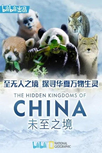 未至之境海報