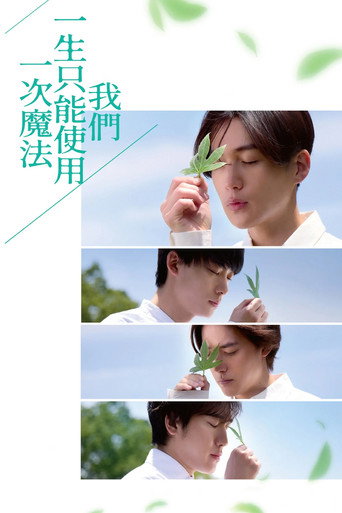 我們一生只能使用一次魔法海報
