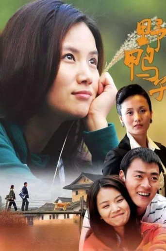 野鴨子海報