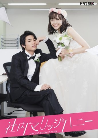 辦公室的秘密新婚海報