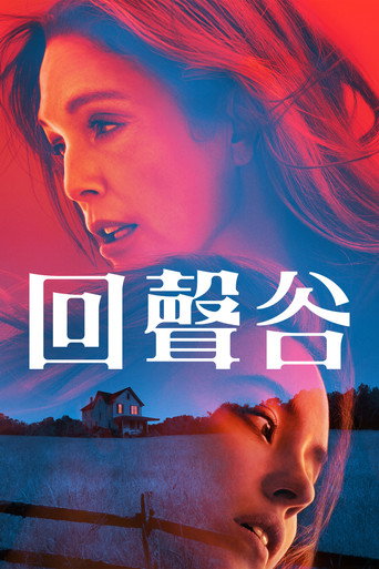 回聲谷海報