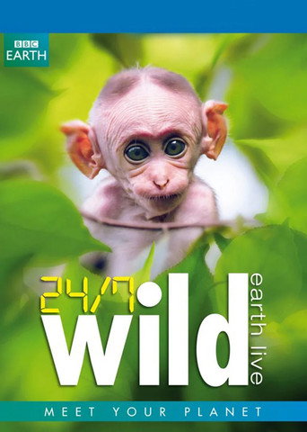 全天候野生動物追蹤海報