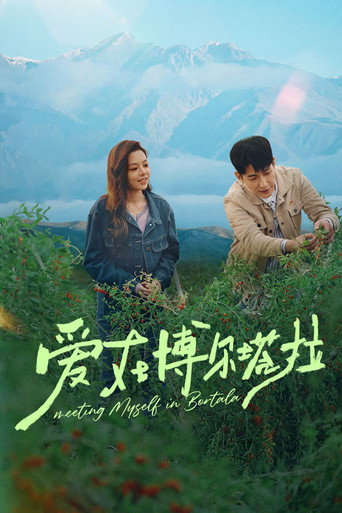 愛在博爾塔拉海報