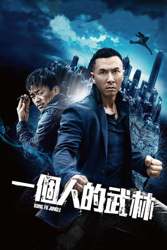 一個人的武林海報