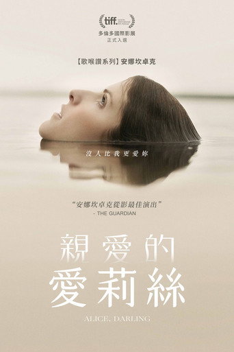 親愛的愛莉絲海報