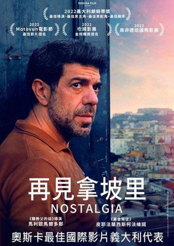 再見拿坡里海報