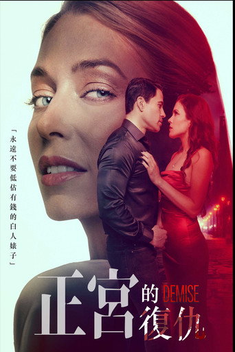 正宮的復仇海報