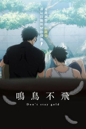 鳴鳥不飛:Don't stay gold海報