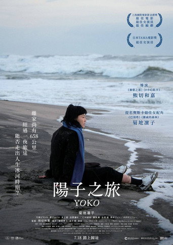 658km、陽子之旅海報