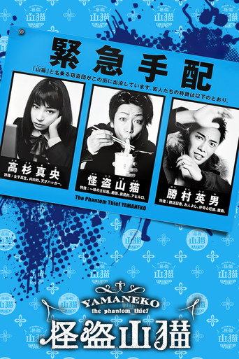 怪盜山貓海報