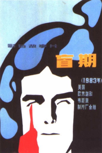 盲眼追兇海報