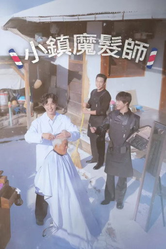 鄉村魔髮師海報