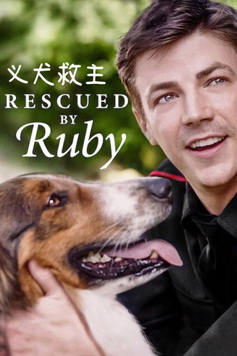 搜救犬露比海報