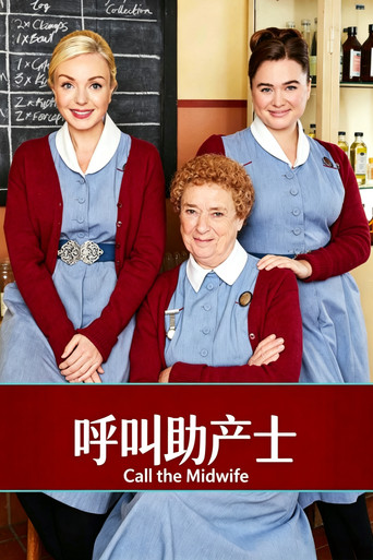 呼叫助產士海報