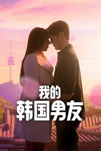 我的韓國男友海報