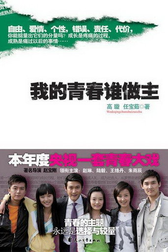 我的青春誰做主海報