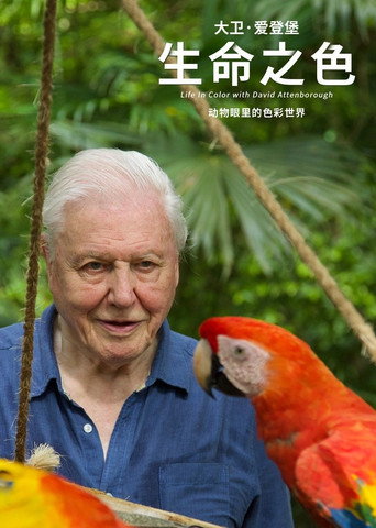 生命之色海報