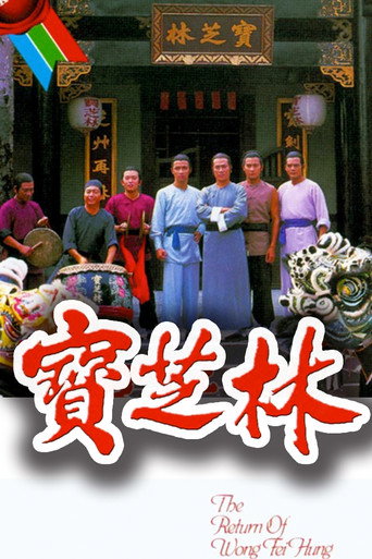 寶芝林海報