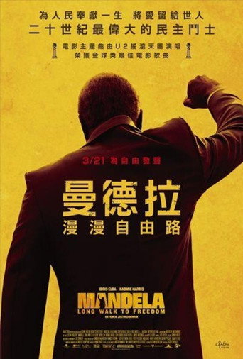 曼德拉:漫漫自由路海報