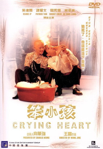 笨小孩海報
