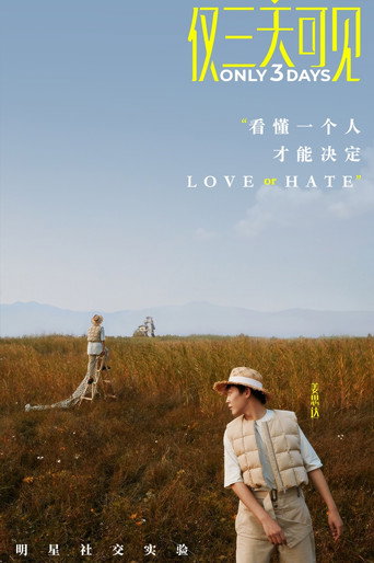 僅三天可見海報