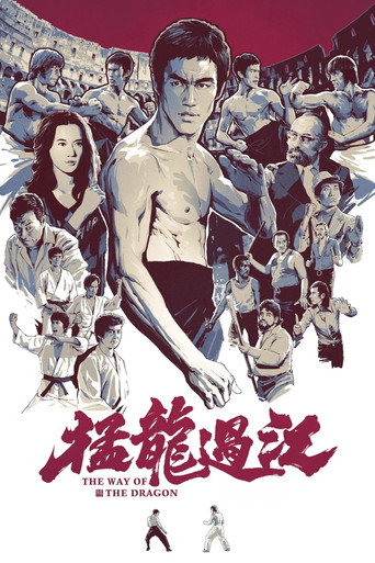 猛龍過江海報